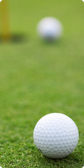 보성에덴컨트리클럽 인사말 이미지